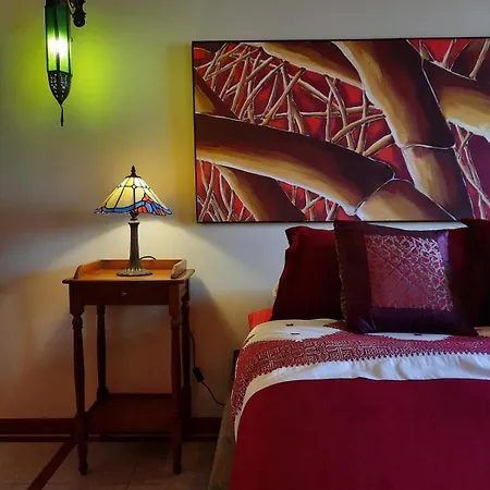 Appartement Raiz Del Drago Icod De Los Vinos