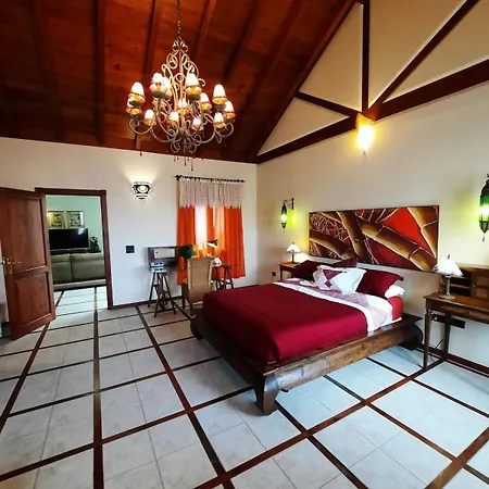Apartment Raiz Drago *