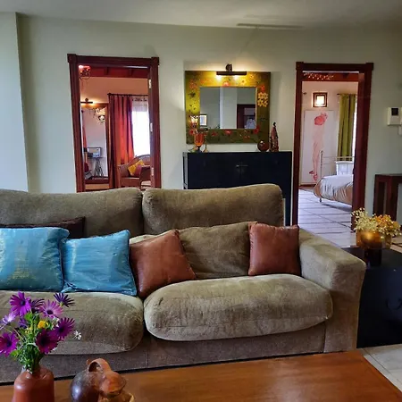 Raiz Drago Apartment Icod De Los Vinos