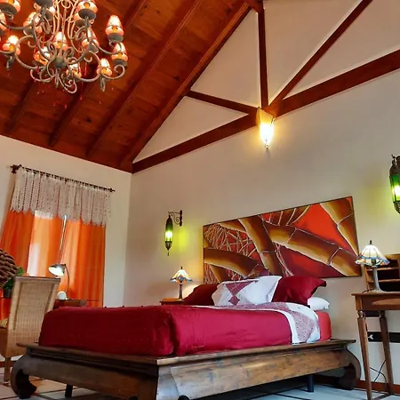 Raiz Drago Icod De Los Vinos