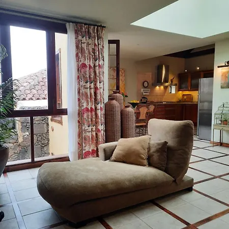 Raiz Drago Icod De Los Vinos