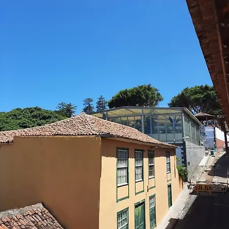 Raiz Drago Lägenhet Icod De Los Vinos